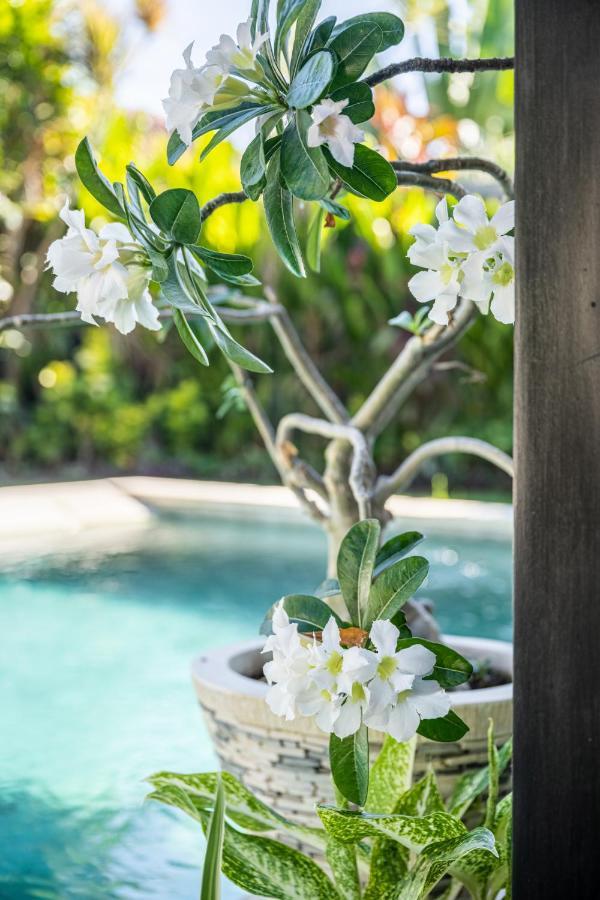 Jagaditha Villas Sanur  Ngoại thất bức ảnh